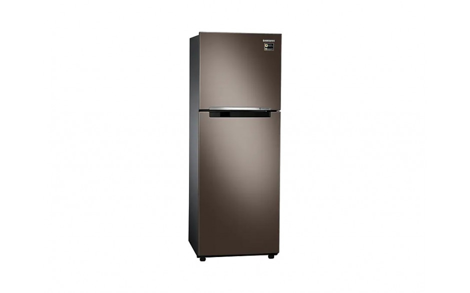 Tủ lạnh Samsung 236 lít RT22M4040DX/SV