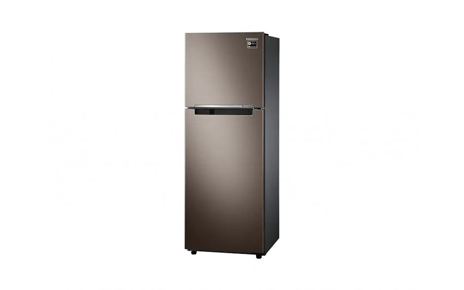 Tủ lạnh Samsung 236 lít RT22M4040DX/SV